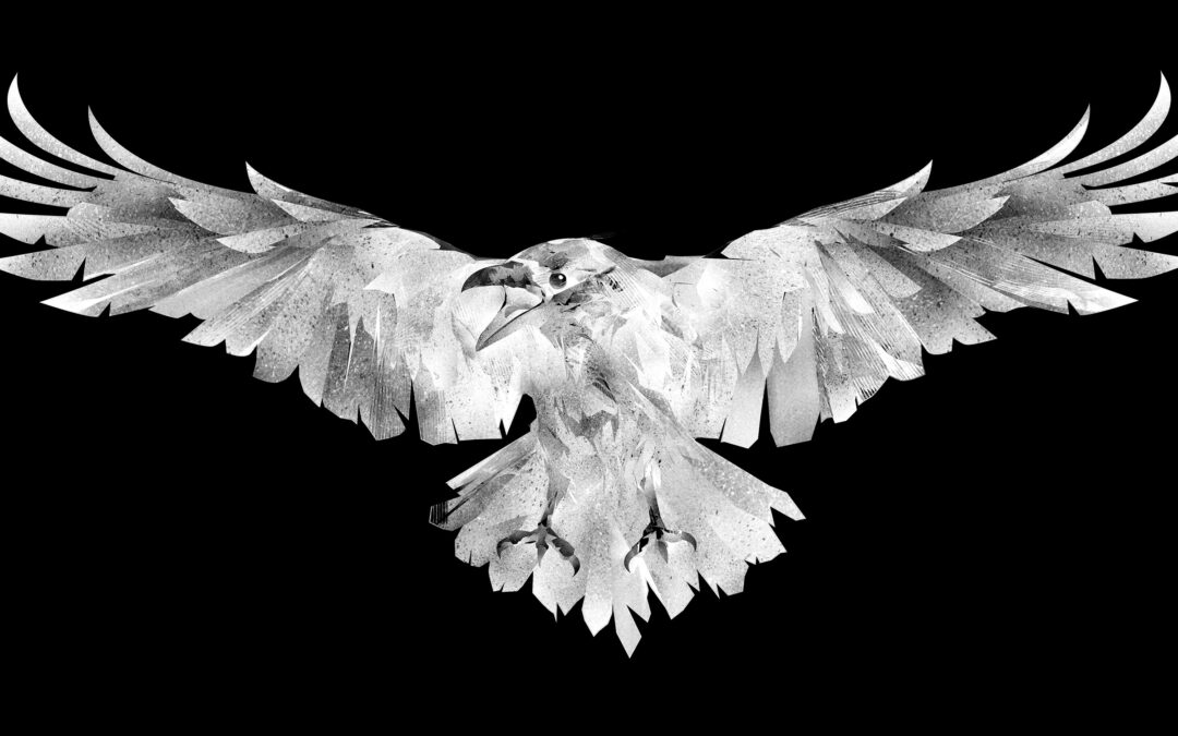 Announcing White Raven Chronicles!