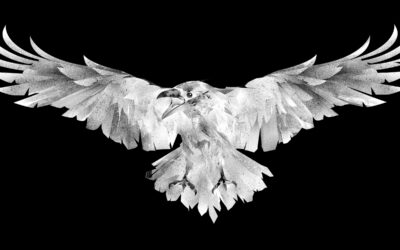 Announcing White Raven Chronicles!